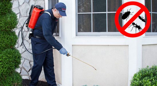 Kozlu Karınca İlaçlama böcek ilaçlama ve haşere kontrolü — ilaclama-tr.com
